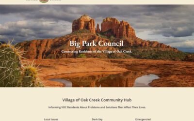 Big Park Council